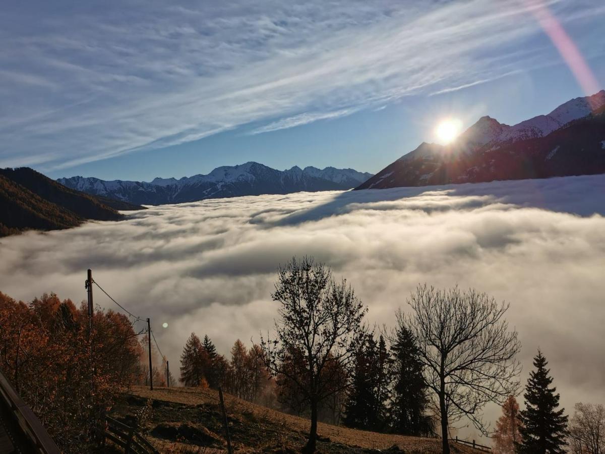 Budamerhof Virgen Kültér fotó